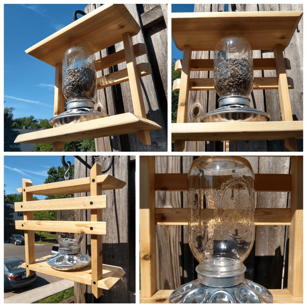 Bird feeder collage